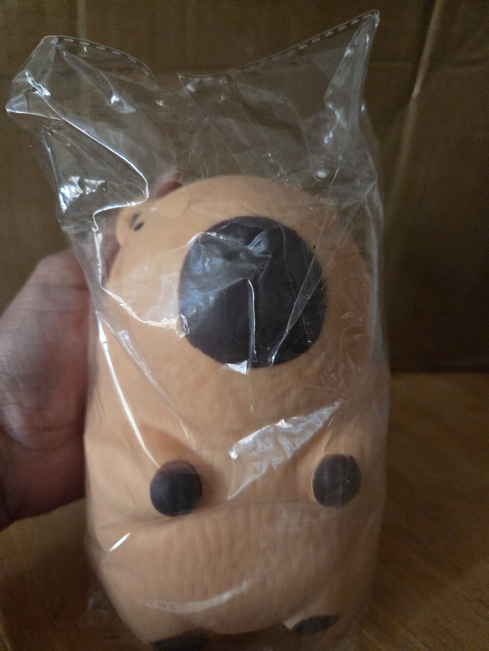 Jumbo Capybara Squishy